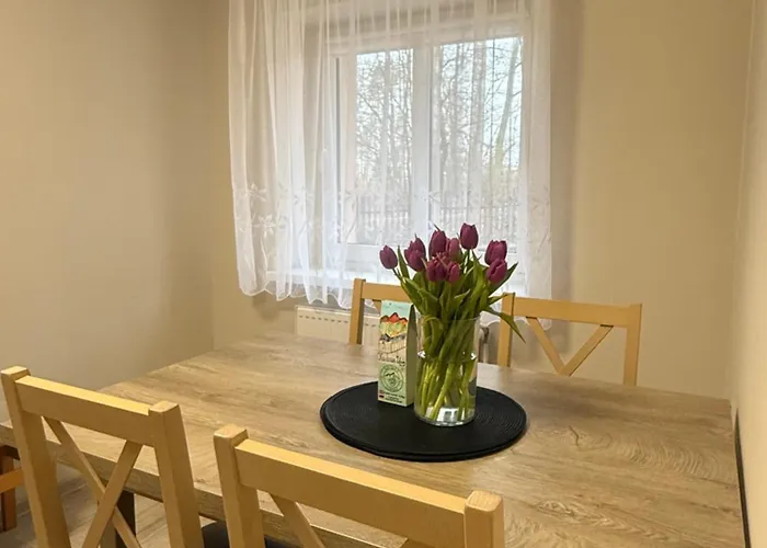 Sloneczne Wzgorze Apartment Kudowa Zdroj